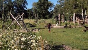 A natural outdoor area with a grassy field, a wooden structure, and a pond. - Amsterdam Farm Lodge (Amsterdam)