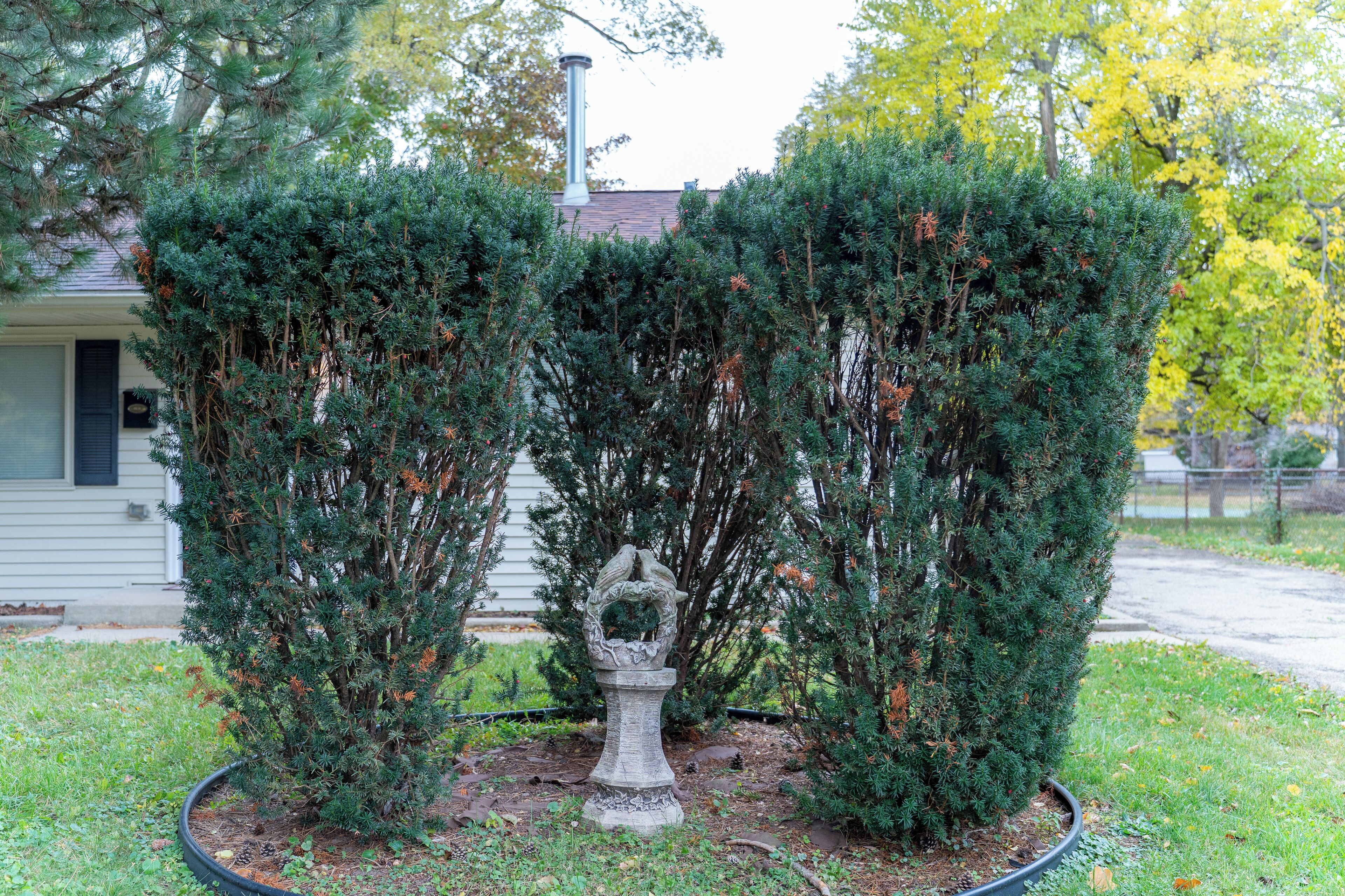 Détail de l’extérieur