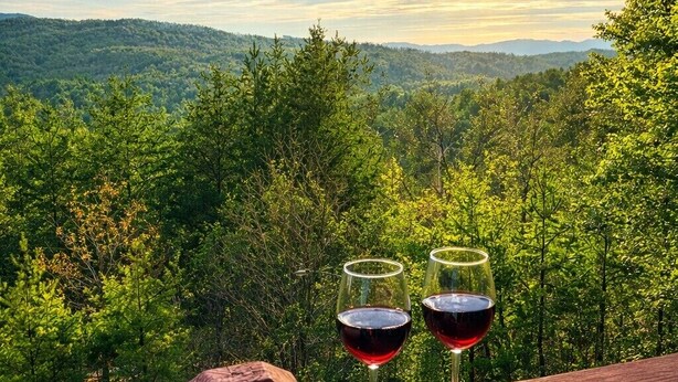 Vista panorámica desde una terraza de madera con vista a un paisaje boscoso, con dos copas de vino tinto.