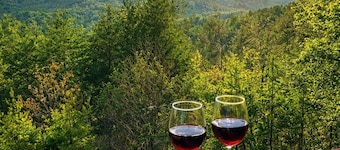 Long Range Views in Secluded Gated Community