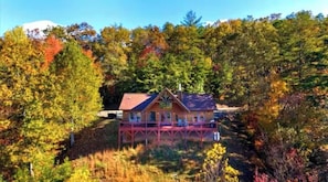 A cabin with a porch, surrounded by trees and a body of water.