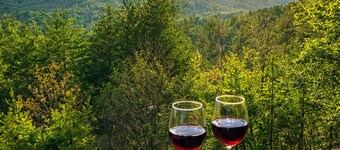 Secluded Mountain View Cabin Close to Whitewater Rafting