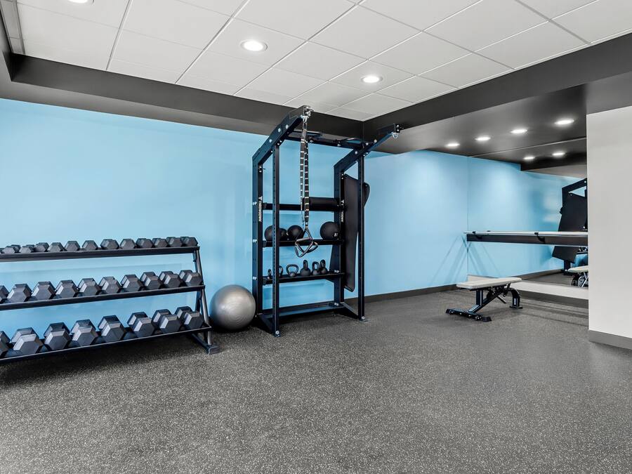 Une salle de sport équipée d’un support à squats, d’haltères, de kettlebells et d’un banc.