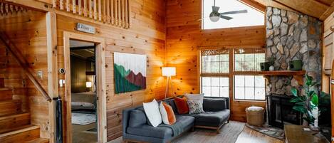 TV connectée, cheminée, livres, médiathèque