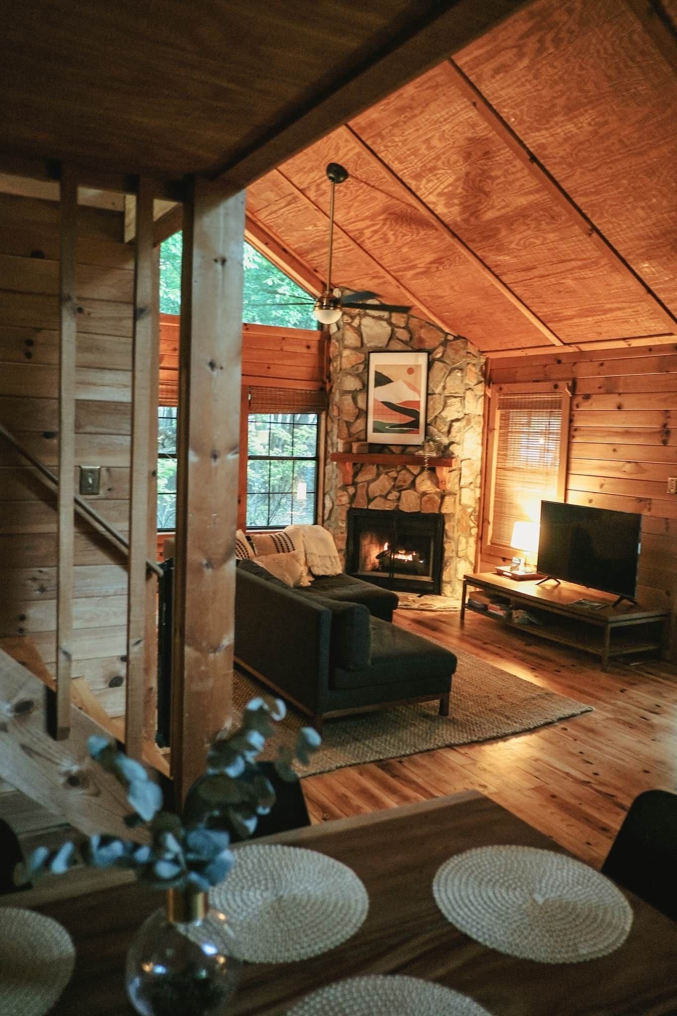 Smart TV, fireplace, books, music library