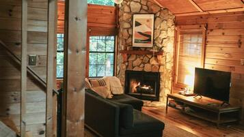 Smart TV, fireplace, books, music library