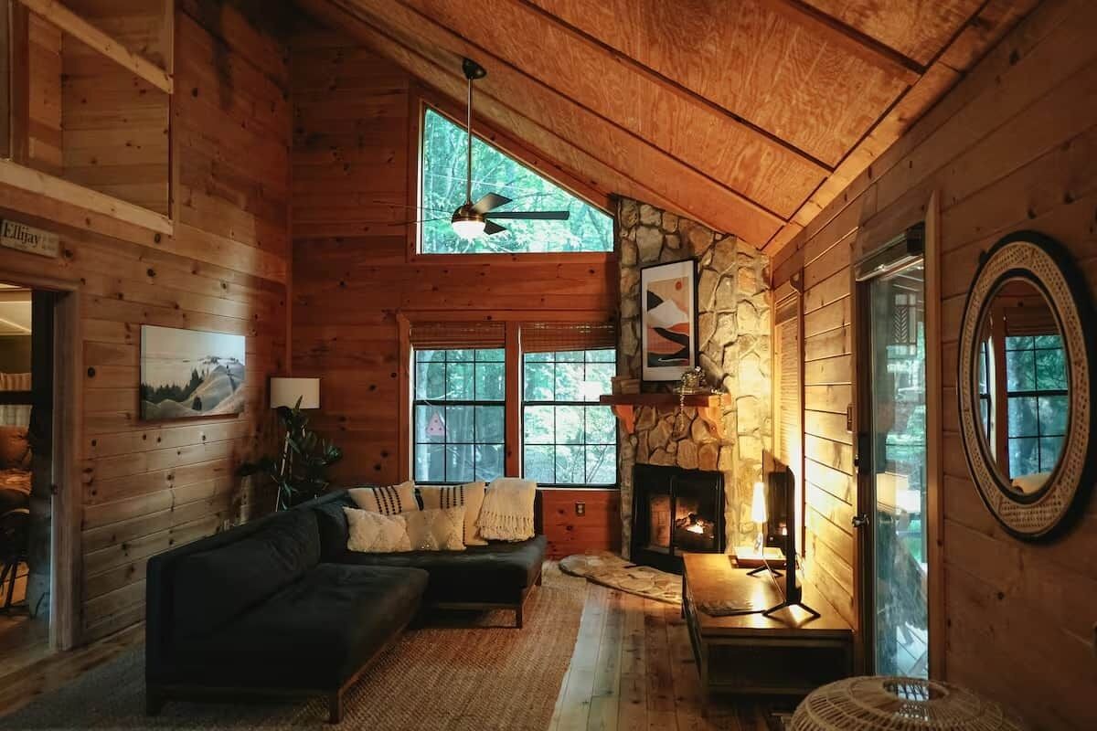 Smart TV, fireplace, books, music library