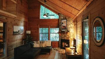 Smart TV, fireplace, books, music library