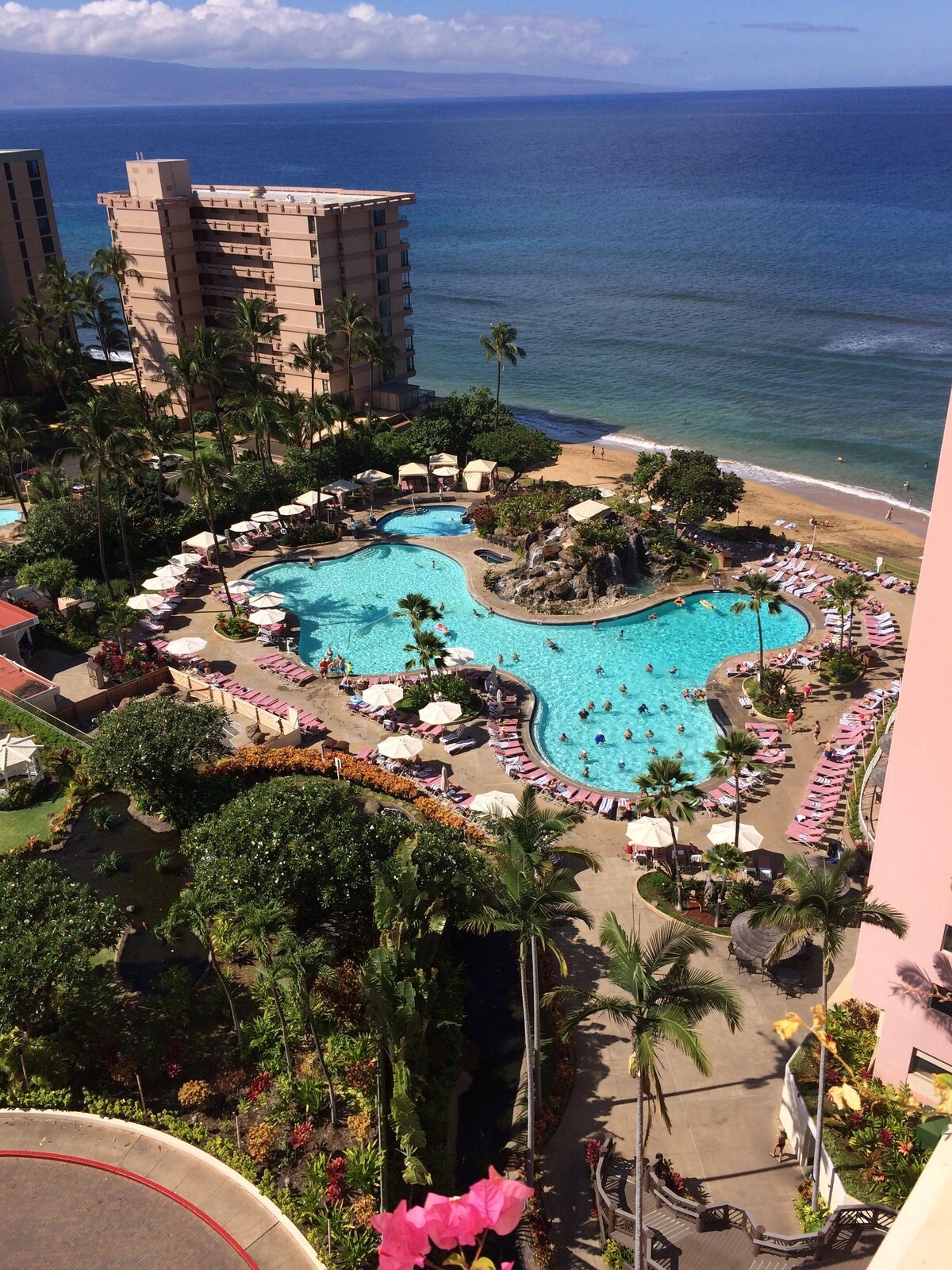 Imagen de perfil del propietario o de la propietaria