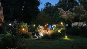 Un jardin agrémenté de diverses plantes et arbres, illuminé par des jeux de lumière décoratifs.