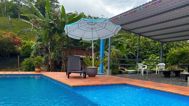 A swimming pool with a tiled edge, a striped umbrella, a chair, and potted plants.