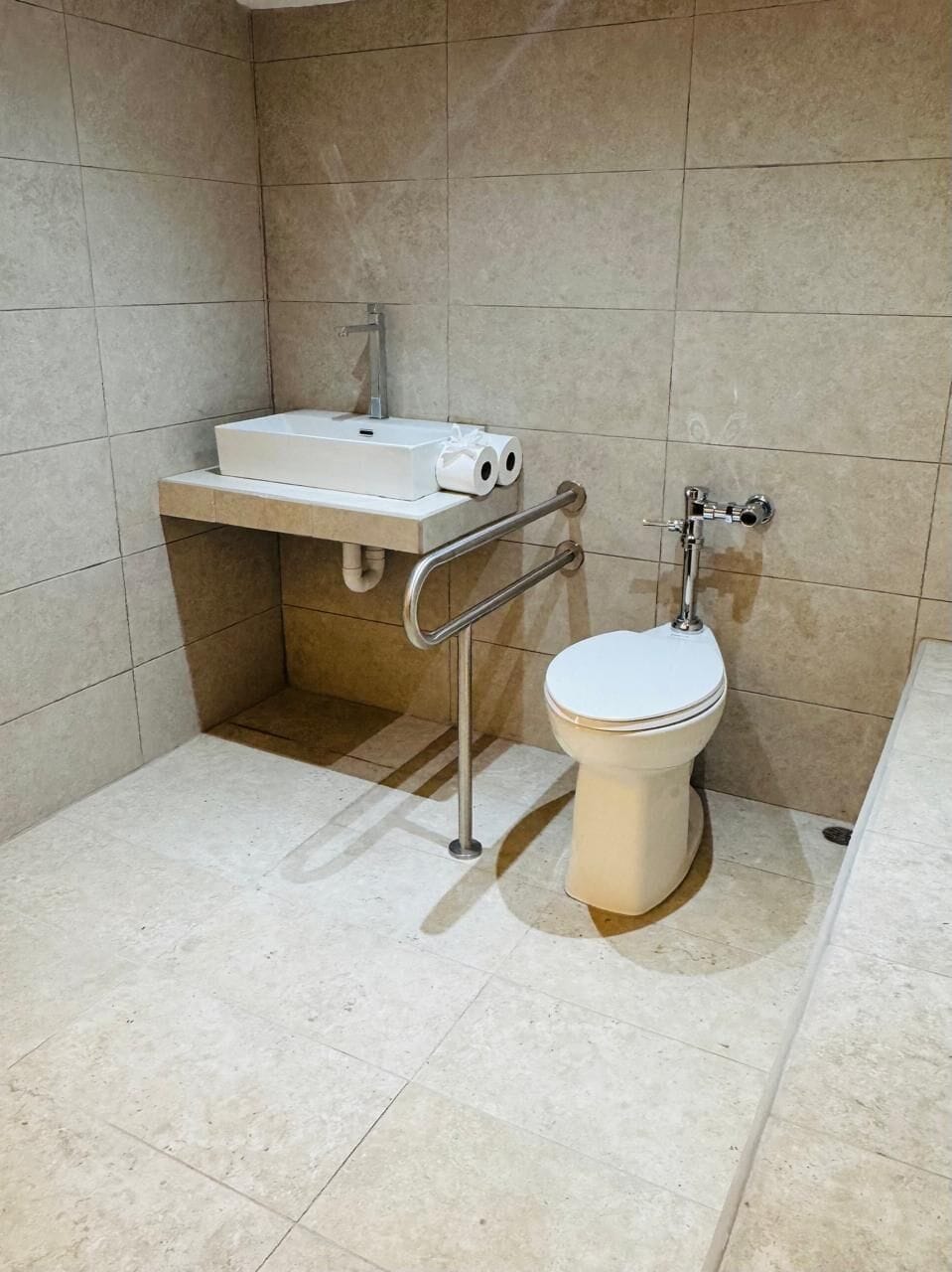 A bathroom with a toilet, a sink, and a handrail.