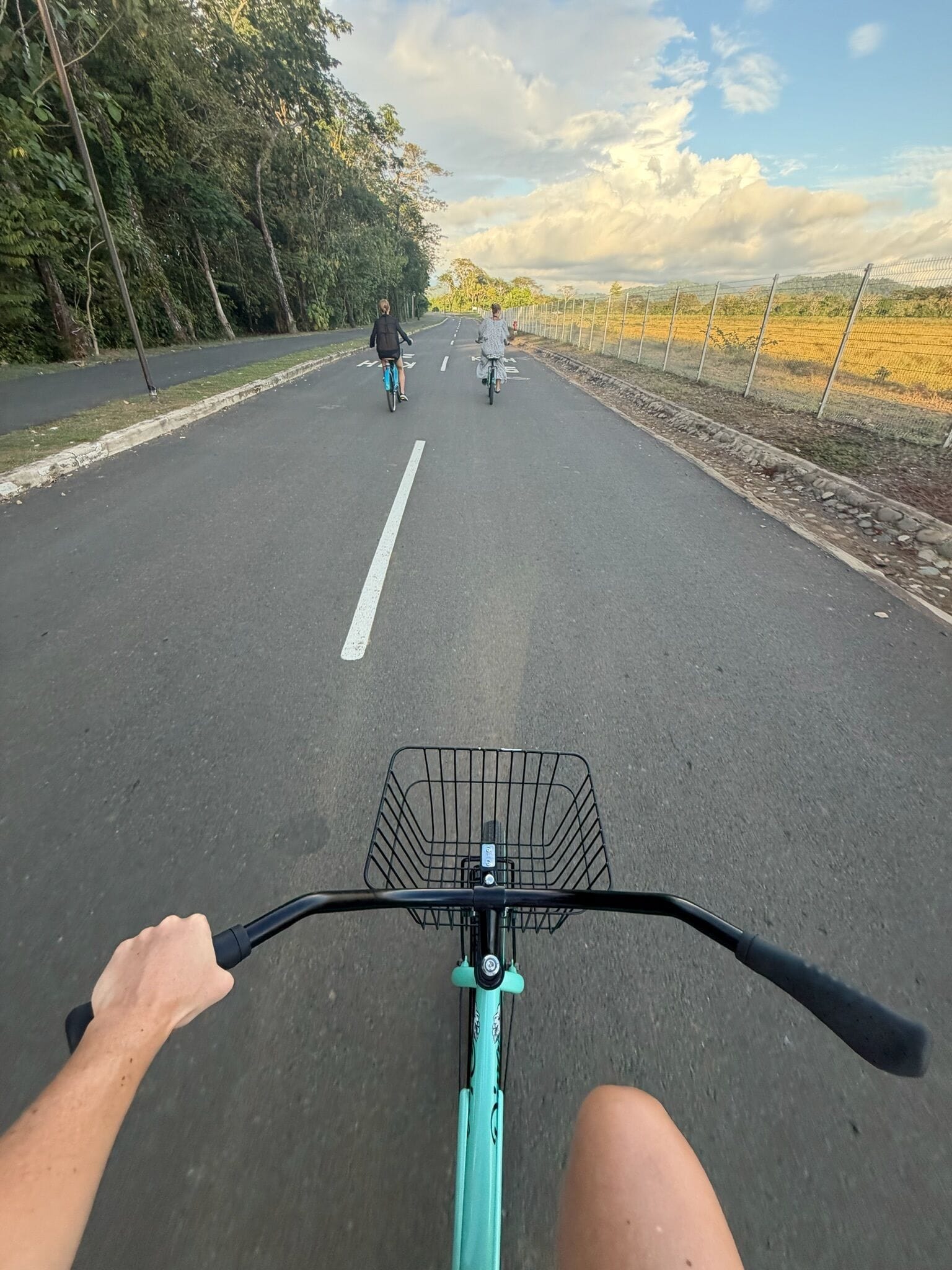 Une route sur laquelle on aperçoit un cycliste au premier plan et deux autres au loin, le tout étant entouré d’arbres et d’une clôture.