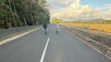 Une route sur laquelle on aperçoit un cycliste au premier plan et deux autres au loin, le tout étant entouré d’arbres et d’une clôture.