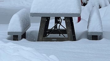 BBQ/picnic area