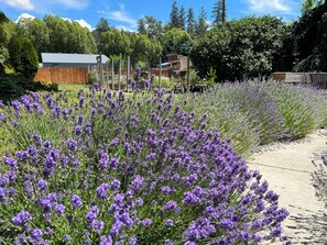 Exterior - Nordlig Motel (Chewelah)