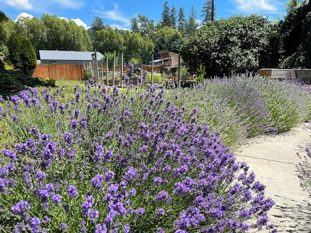 外观. 诺德利格汽车旅馆