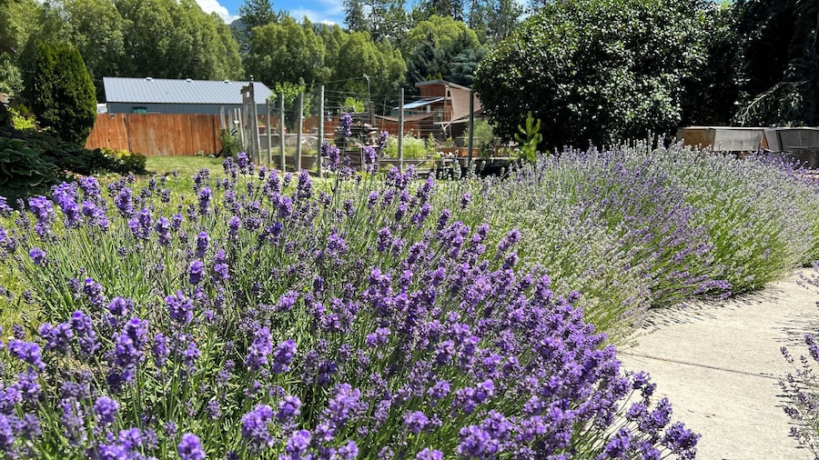Nordlig Motel