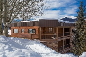 Exterior - Fireside Cottage, Steps to Bus, VIEWS, Fireplace! (Crested Butte)