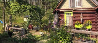 EAST CROSS FOREST CABIN GETAWAY