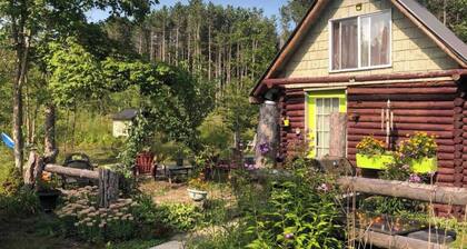 EAST CROSS FOREST CABIN GETAWAY