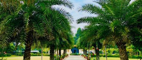 Jardines del alojamiento