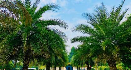 Premier farm nestled within a verdant landscape.