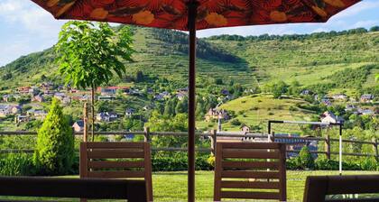 Charmant appartement de 30 mÂČ avec terrasse au cĆur de Marcillac-Vallon