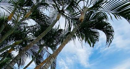 Comfortable and modern apartment, fully equipped in Acapulco Diamante zone