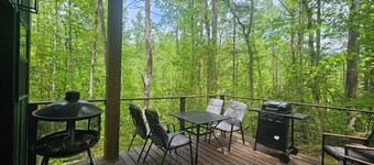 Tiny home in the trees