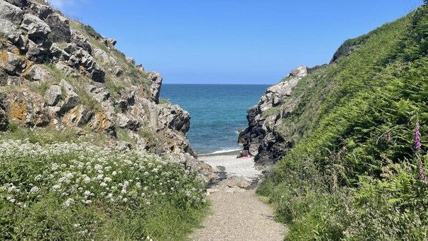 Ein Küstenpfad führt zu einem Strand mit felsigen Klippen und viel Grün.