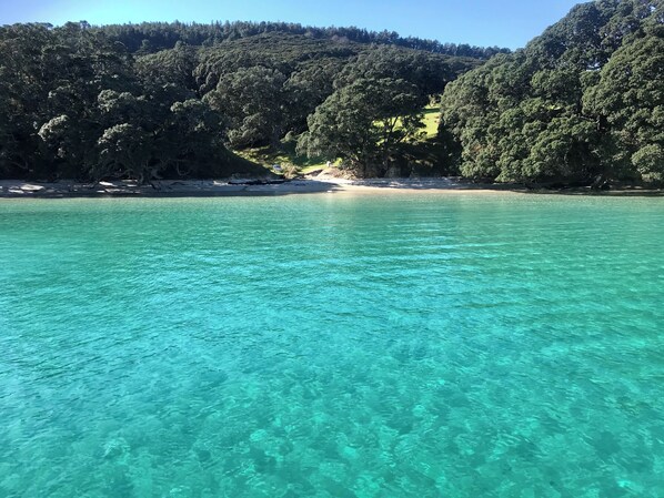 A clear turquoise sea with a sandy beach and dense forested hills in the background. - The Whitianga Waterways Boathouse   (Whitianga)