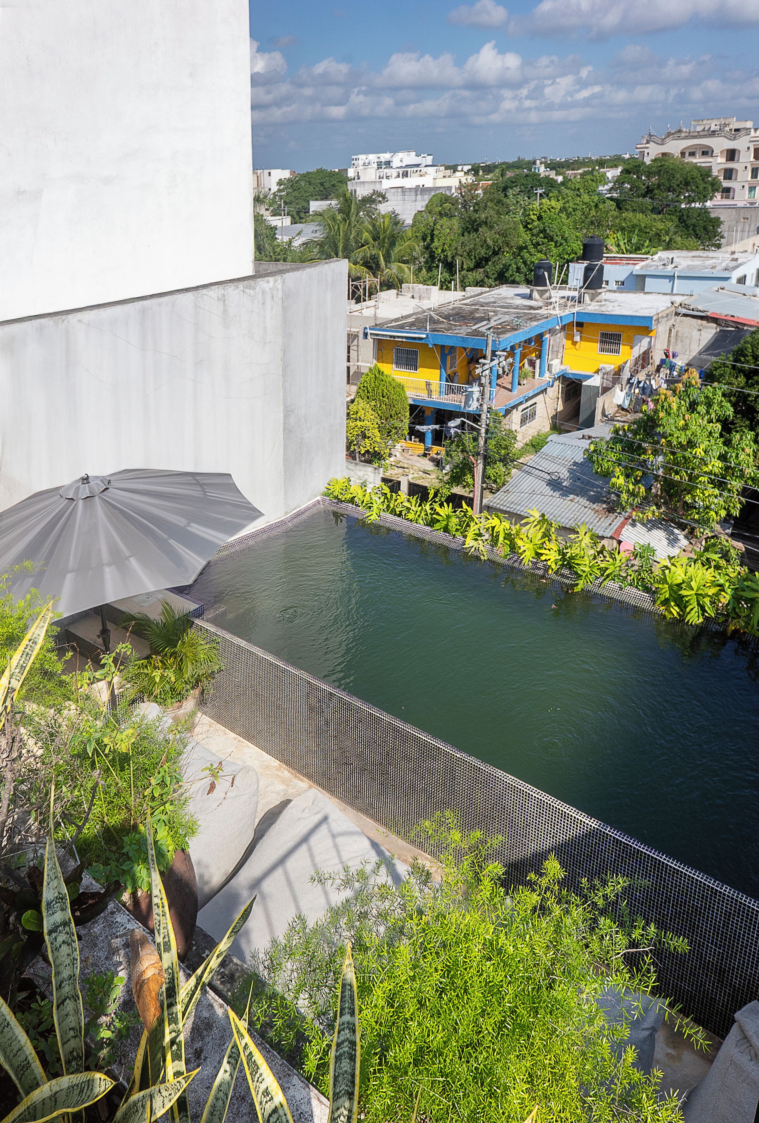 Una piscina en la azotea con vistas a edificios y zonas verdes circundantes.