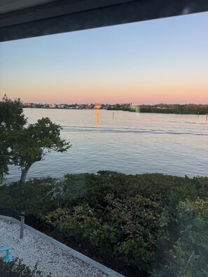 A view of a waterfront with calm water, a tree in the foreground, and buildings in the background. - Direct Bayfront Siesta Key Condo - watch the boats from your private lanai. (Siesta Key)