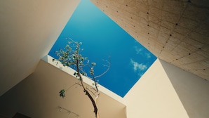 A room with a sloped ceiling, a tree, and a clear blue sky visible through an opening. - El Iguano, beautiful room with interior Garden (Mérida)