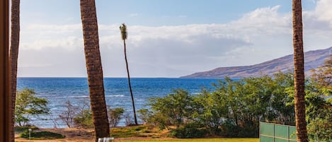 A table with a glass and a plate, overlooking a coastal landscape with palm trees and a view of the ocean.