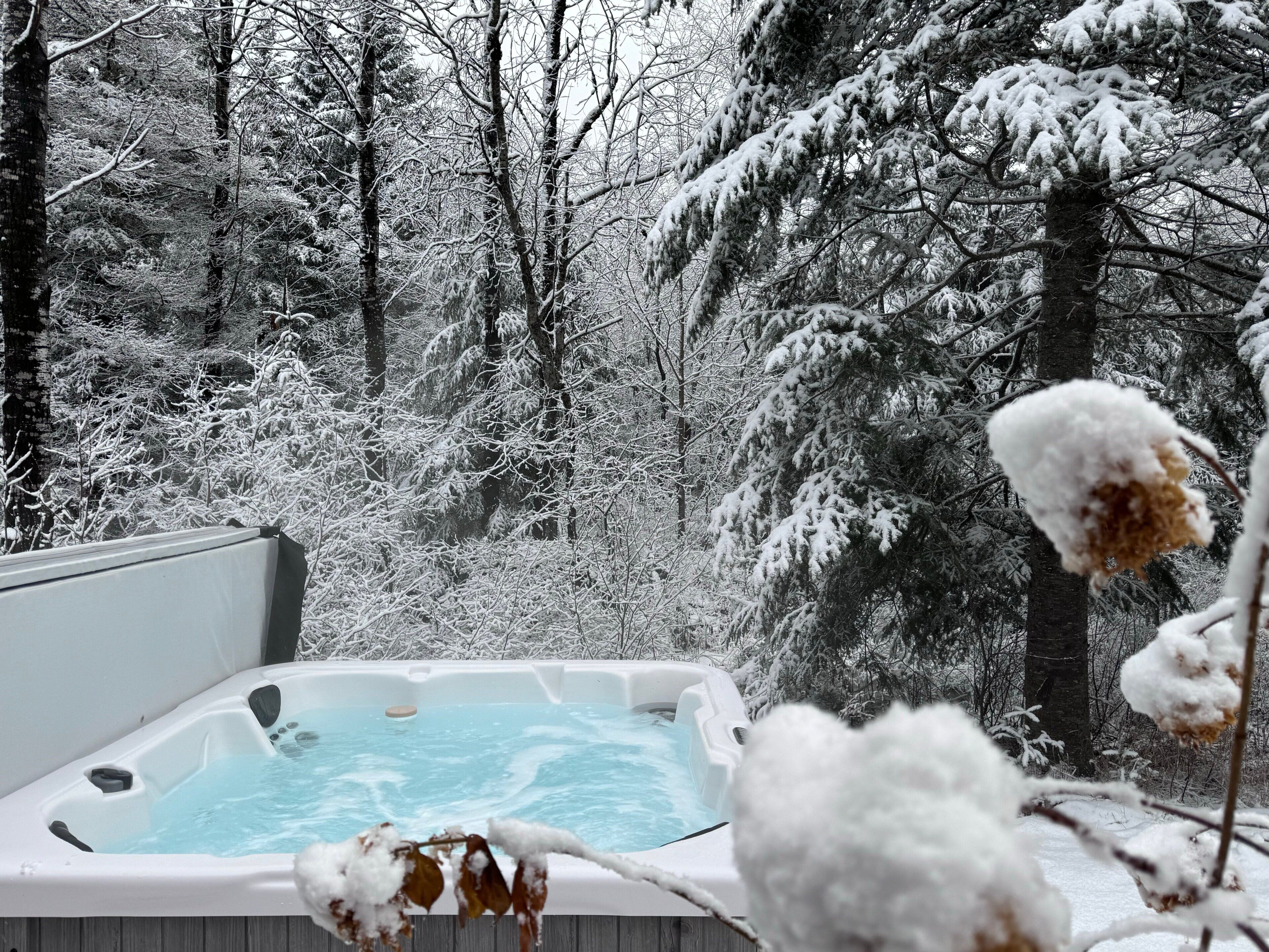 Ein Whirlpool, umgeben von schneebedeckten Bäumen.