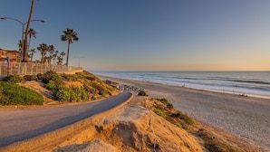 A coastal road leading to a beach with palm trees and a clear sky. - 2751 Ocean Street (Carlsbad)