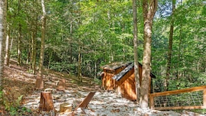 A rustic cabin in a forest with a gravel path, wooden benches, and a metal fence. - Amazonia (Rogers)