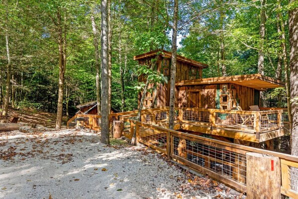 Front of property - Amazonia (Rogers)