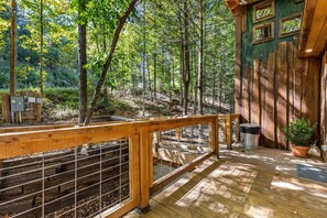 Interior - Amazonia (Rogers)