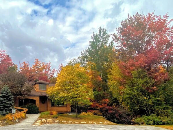 Interior - Fc14 Slopeside Bretton Woods Cottage With AC, Large Patio and Private Yard! Walk to Slopes! (Bretton Woods)