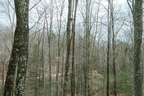 Chalet (2 Bedrooms) | Interior