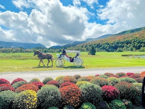 Interior - Log Cabin 1 Mile From Skiing - 1800bc (Bretton Woods)