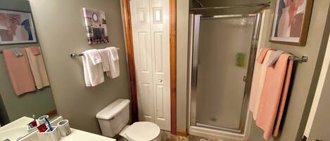 A bathroom with a sink, toilet, shower, and a door with a towel rack.