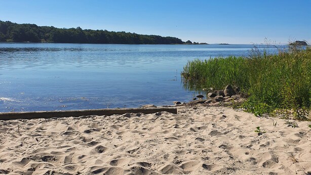 Une plage de sable fin, une eau d’un bleu limpide et, au loin, une île couverte de forêts.