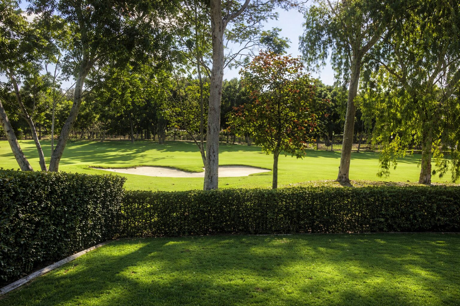 A well-maintained golf course with a sand bunker, surrounded by dense trees and a neatly trimmed hedge.