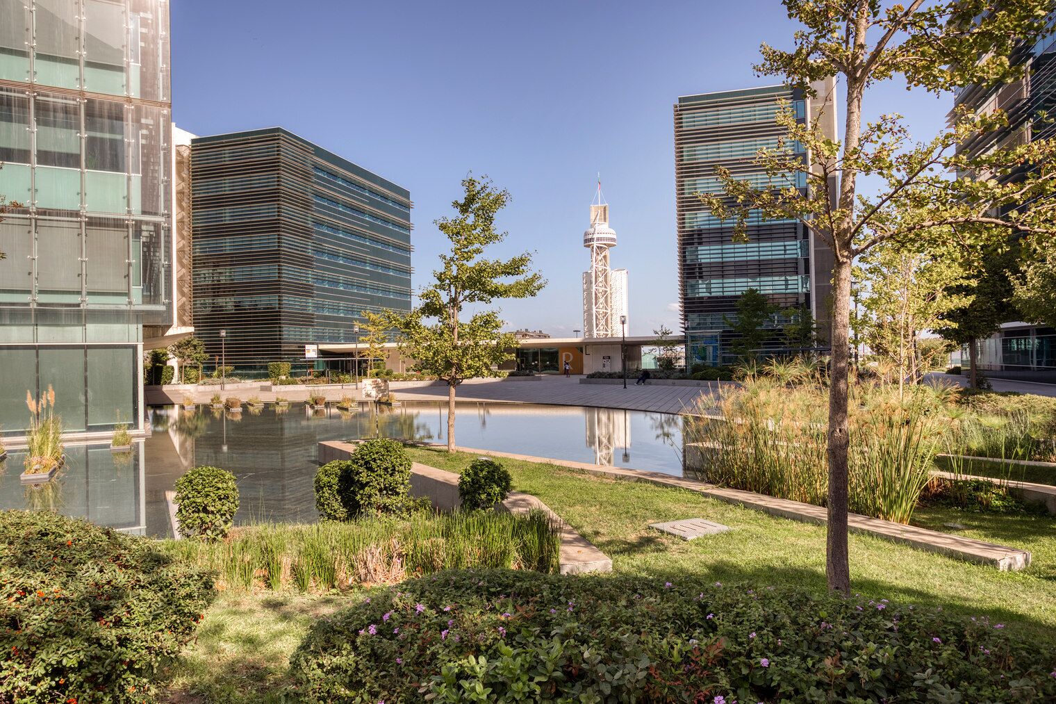 Àrea exterior de l'allotjament