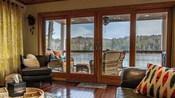 TV connectée, cheminée, lecteur de DVD, livres