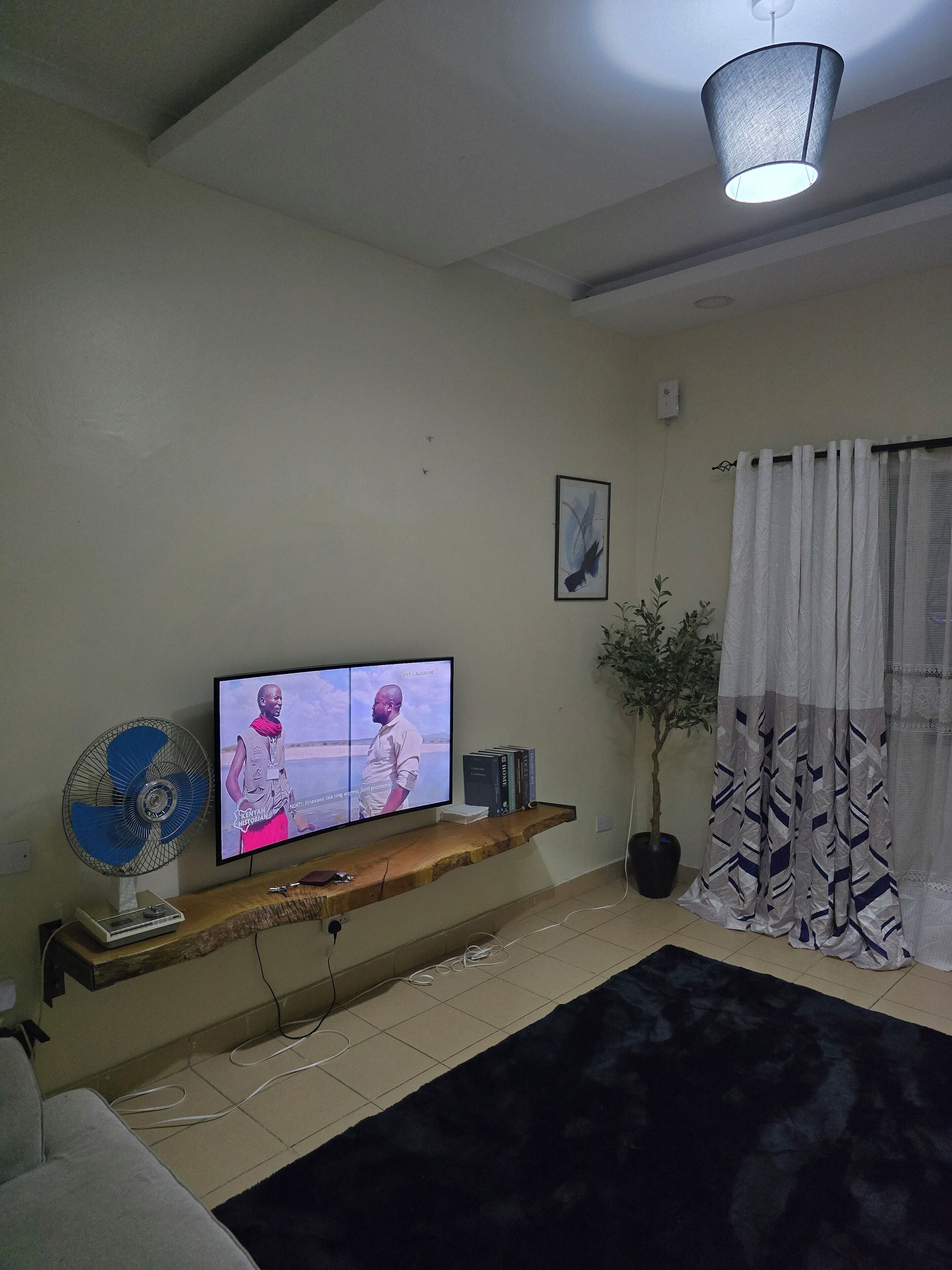 Una sala de estar con televisión, ventilador, planta y ventana con cortinas.